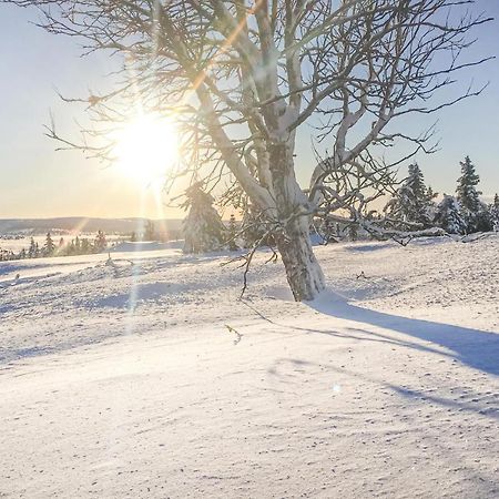 Cozy Home In Sjusjoen With Kitchen Exterior foto